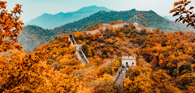 Mercado del aceite de oliva en China: oportunidades para el producto español