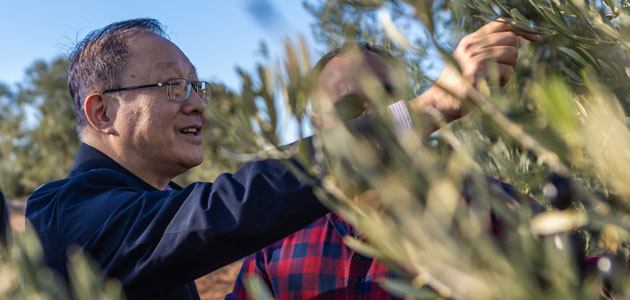 Una delegación china de alto nivel visita el olivar español