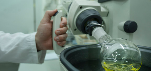 CICYTEX organiza una jornada para mostrar al sector oleícola herramientas digitales aplicadas