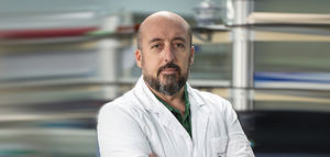 Rentabilidad y estrategias ganadoras: TID4AGRO, la innovación que impulsa la competitividad del olivar y del aceite de oliva virgen extra