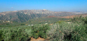 El CIHEAM Zaragoza inicia un proyecto en Líbano para mejorar la eficiencia y sostenibilidad del olivar