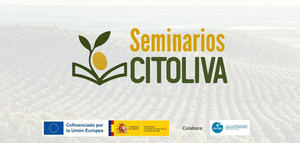 Los Seminarios Citoliva continúan su recorrido itinerante y llegan a Badajoz para abordar los principales retos del olivar