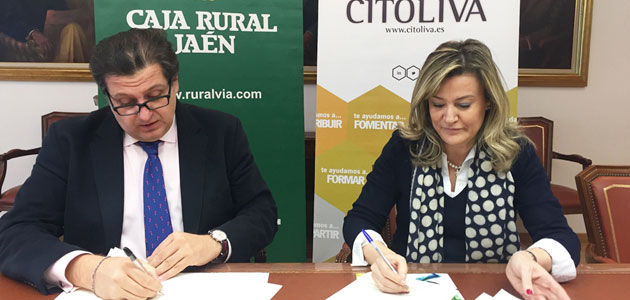 Citoliva y la Fundación Caja Rural de Jaén avanzan en la mejora de la calidad de los aceites de oliva