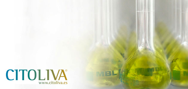 El laboratorio físico-químico acreditado de Citoliva, listo para la próxima campaña de aceituna