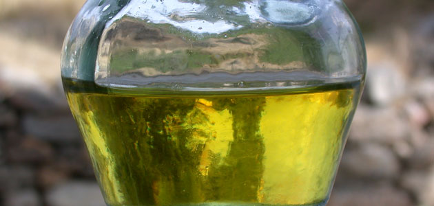 COAG-Andalucía apuesta por datos fiables para frenar la especulación en el mercado de aceite de oliva