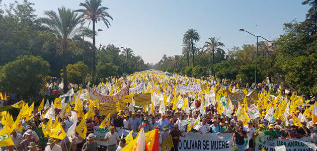 Paro general agrario en Andalucía y gran manifestación en Sevilla el 25 de febrero