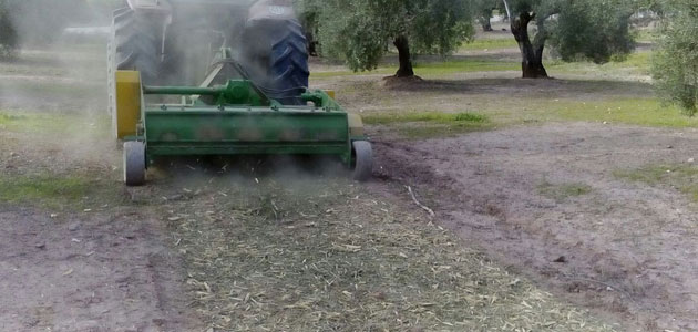 COAG-Jaén reivindica el importante avance en el tratamiento de los restos de poda del olivar