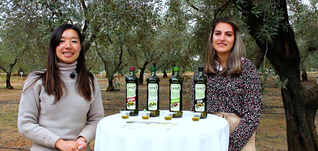 La Fundación Juan Ramón Guillén pone en marcha el concurso para escolares 'Andalucía: un olivar único'