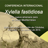 La Junta pone en marcha las actuaciones de vigilancia y control de la Xylella fastidiosa en Andalucía
