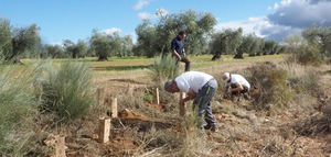 El I Congreso Internacional de Biodiversidad y Agricultura conjugará biodiversidad y viabilidad económica agraria