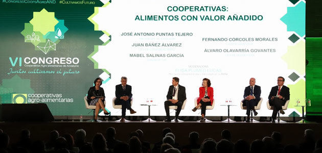 Las cooperativas agroalimentarias andaluzas sientan las bases de su futuro