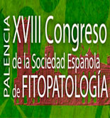 La Xylella fastidiosa centrará una sesión del XVIII Congreso de la Sociedad Española de Fitopatología