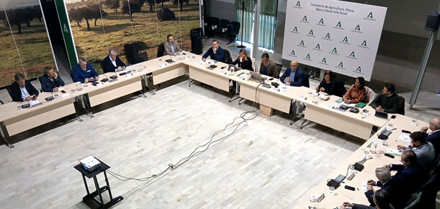 La Junta aboga por adaptar la propuesta de la nueva PAC a las necesidades del olivar andaluz