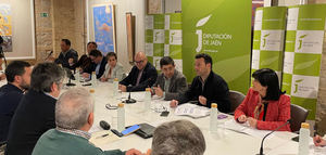 Propuestas de acción ante los daños en el olivar de Jaén por el temporal