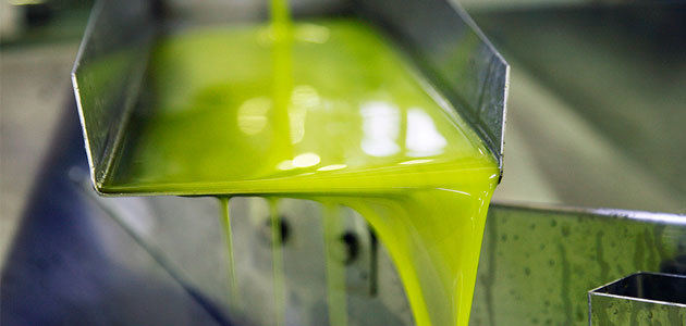 Evolución postiva de la campaña de aceite de oliva, que agota las 305.000 toneladas de enlace