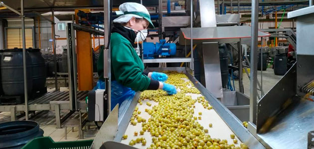Cooperativas Agro-alimentarias de Andalucía urge medidas económicas para el sector primario