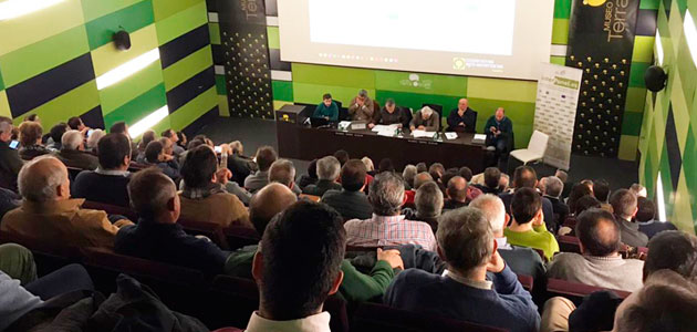 Cooperativas Agro-alimentarias de Andalucía participará activamente en las movilizaciones del sector olivarero