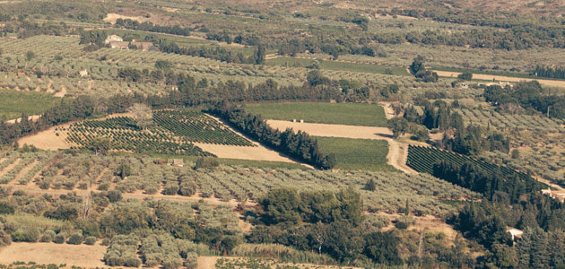 La Eurocámara reconoce el papel esencial de las cooperativas agroalimentarias para la sostenibilidad en las zonas rurales