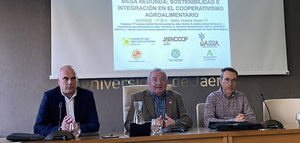 Sostenibilidad e integración en el cooperativismo oleícola