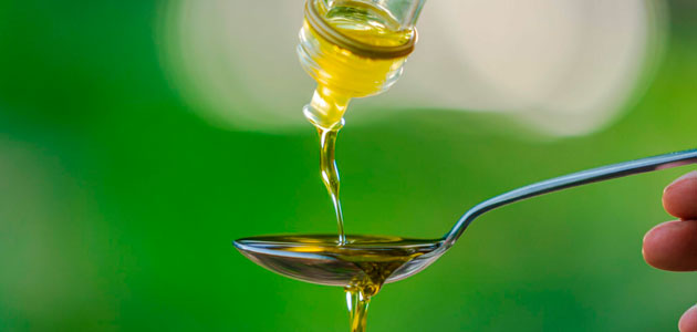 El V Congreso Internacional sobre Aceites de Oliva, Olivar y Salud aborda el impacto del AOVE en la salud y en el medio ambiente