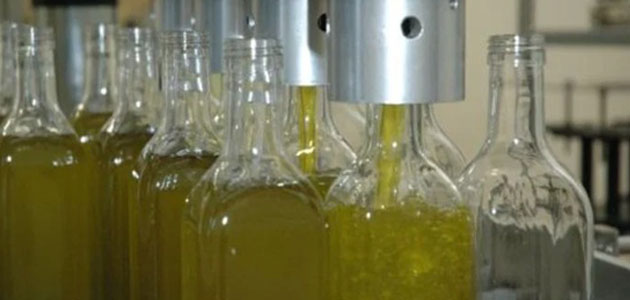 Comienza la recolección de la aceituna en la provincia de Córdoba