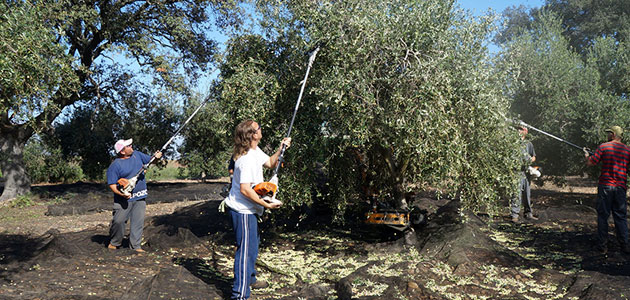 Nuevas cooperativas se suman al 'Catálogo de Buenas Prácticas para Fomentar el Relevo Generacional'