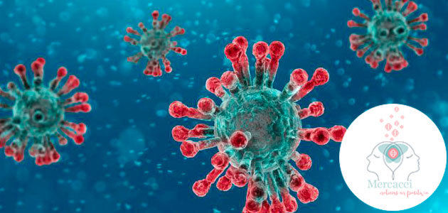 Última hora de la EFSA: no hay pruebas de que los alimentos sean una vía de transmisión del coronavirus