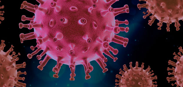 Compuestos naturales presentes en alimentos como el aceite de oliva se muestran prometedores contra el coronavirus