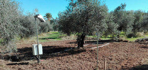 Corrientes eléctricas para medir la humedad del suelo del olivar
