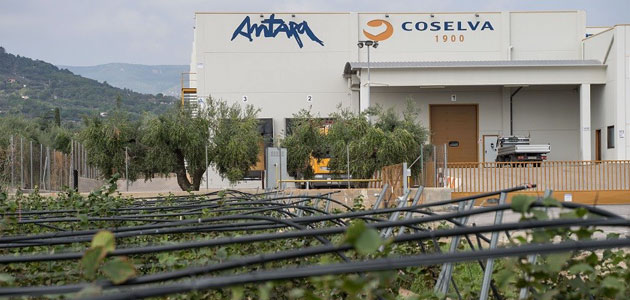 Coselva construirá una nueva almazara sostenible con un sistema pionero de extracción al vacío de aceite de oliva