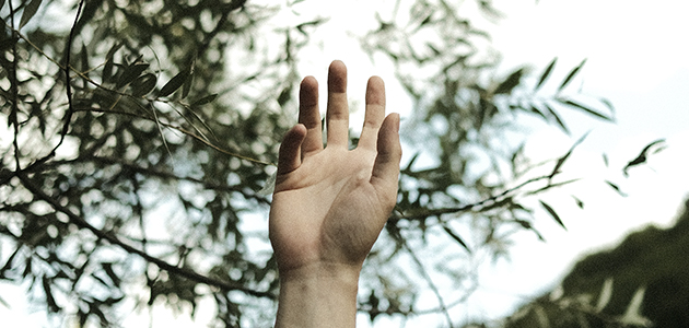 UPA-Jaén traslada su preocupación por la falta de mano de obra en la recolección de aceituna