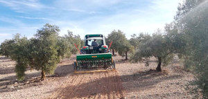 Avanza el proyecto CoverOlive sobre cubiertas vegetales y nuevas tecnologías en el olivar