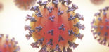 Polifenoles de la aceituna y flavonoides de la naranja para el COVID persistente