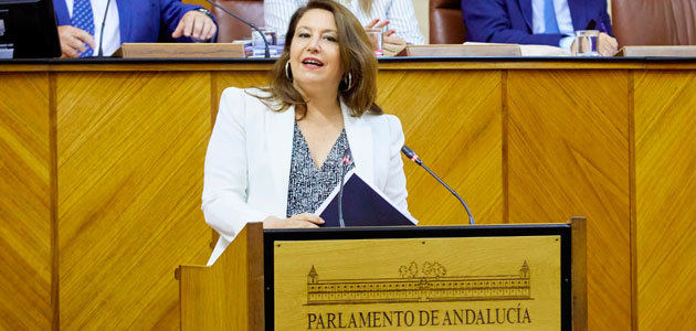 El Parlamento de Andalucía convalida las medidas y actuaciones del tercer Decreto de Sequía