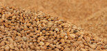 Crisolar Nuts recibe la autorización para exportar almendras a China