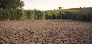 El CSIC lanza una plataforma para dar una respuesta coordinada a los efectos del cambio climático