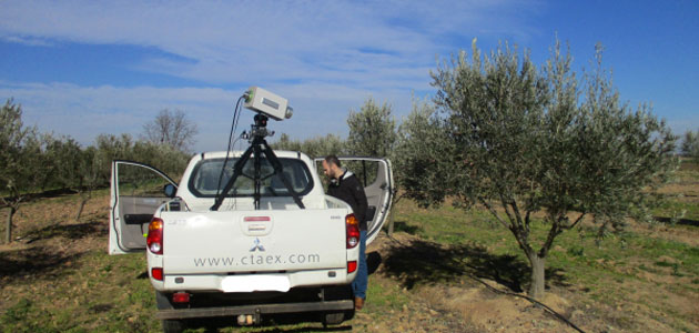 La tecnología al servicio del olivar para optimizar rendimientos y predecir la producción