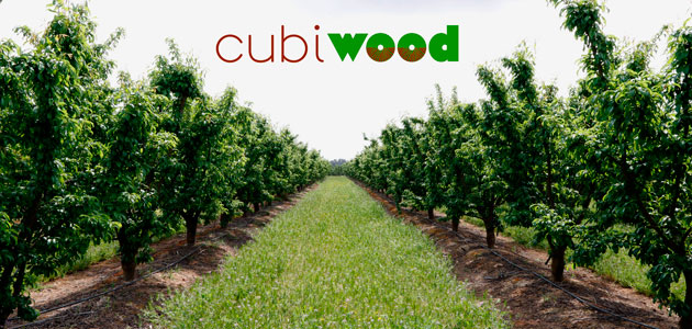 Cubiwood: descubriendo las cubiertas vegetales en cultivos leñosos