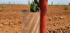 CAAE certifica un protector de cultivos y plantaciones de la empresa Cuidatree