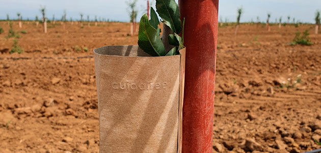 CAAE certifica un protector de cultivos y plantaciones de la empresa Cuidatree