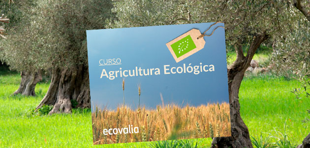 Ecovalia acerca a los agricultores al sector de la producción ecológica