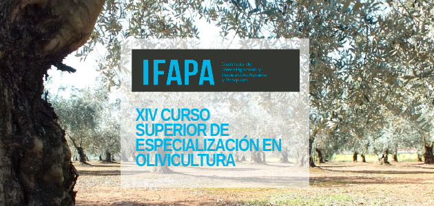 El XIV Curso Superior de Especialización en Olivicultura calienta motores