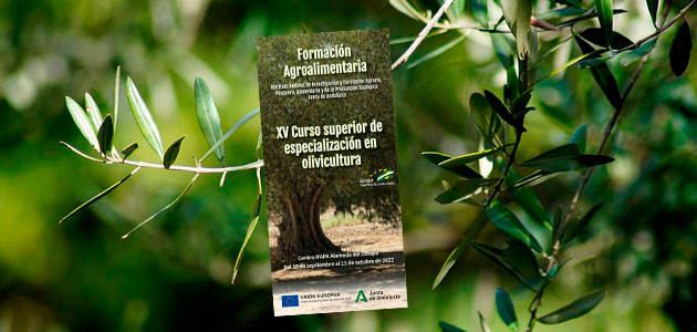 Córdoba acogerá el XV Curso Superior de Especialización en Olivicultura