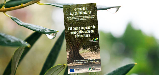 Córdoba acogerá el XVI Curso Superior de Especialización en Olivicultura