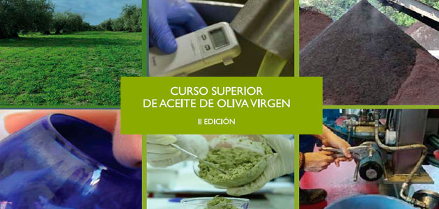Oleoconsulting organiza en septiembre la segunda edición del Curso Superior de AOV