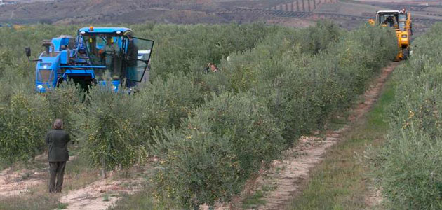 El VI Curso de Experto en Olivicultura de la UPM comenzará con una jornada sobre agricultura de precisión