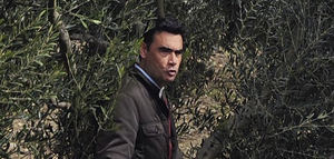 Rentabilidad y estrategias ganadoras en el ámbito de la poda del olivo