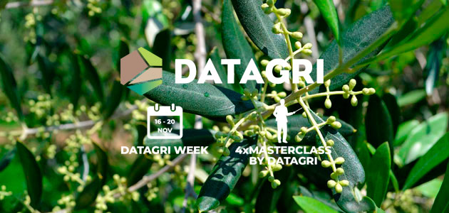 #DatagriVirtual20: la transformación digital en el olivar