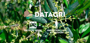 #DatagriVirtual20: la transformación digital en el olivar