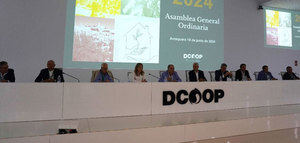 Dcoop elige su Consejo Rector con Antonio Luque al frente